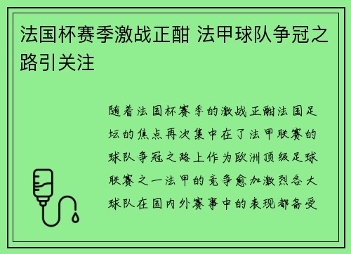 法国杯赛季激战正酣 法甲球队争冠之路引关注 法国杯赛季激战正酣 法甲球队争冠之路引关注